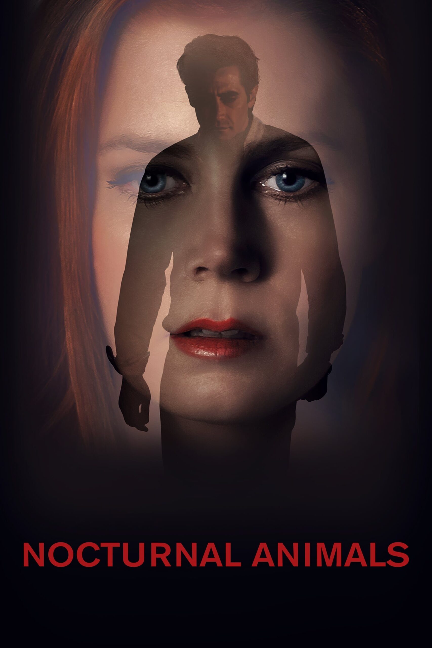 Nocturnal Animals (2016) คืนทมิฬ
