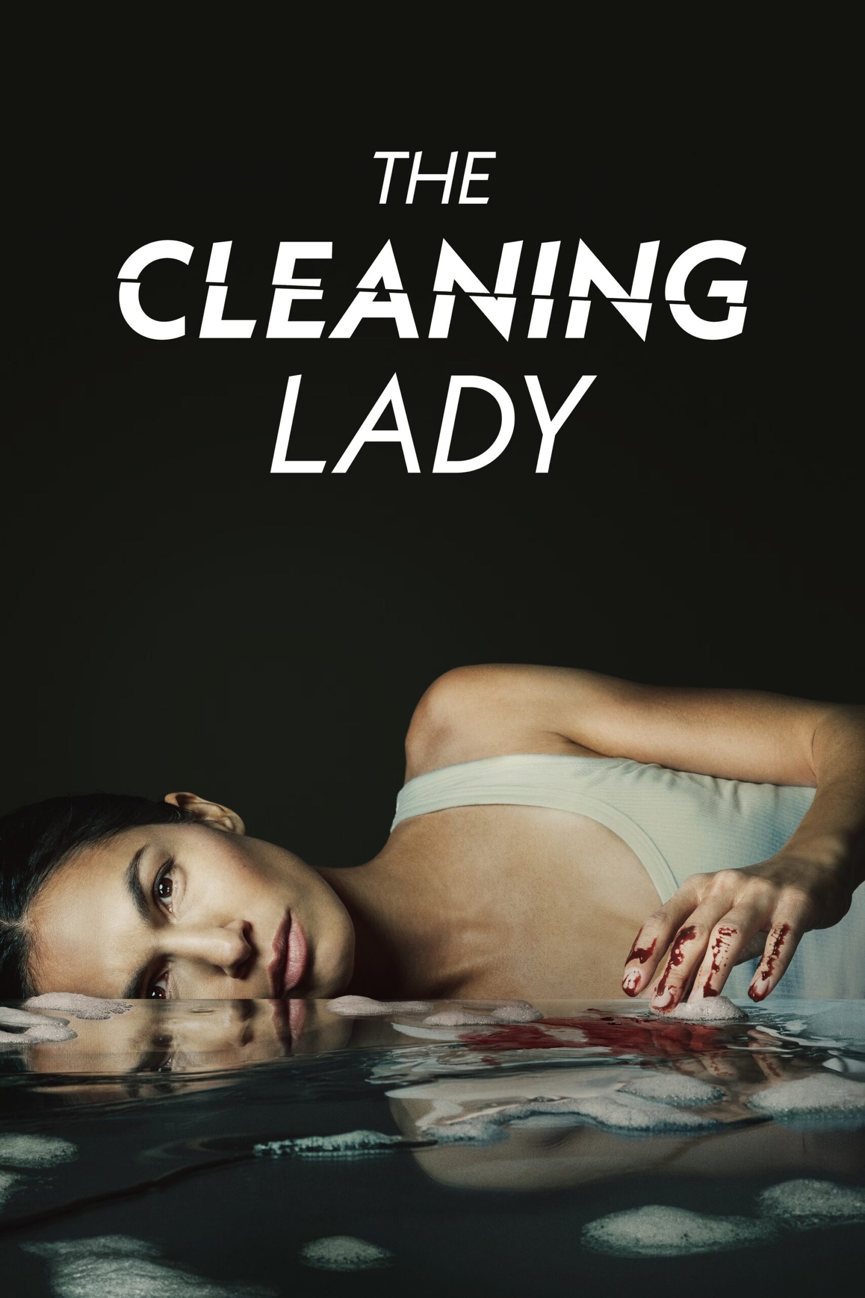 The Cleaning Lady Season 1-4 (2025) หญิงผู้ล้างรอยเลือด ซีซั่น 1-4